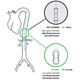 Image for article titled Withings' Connected Scale Now Tracks the Health of Your Heart Too